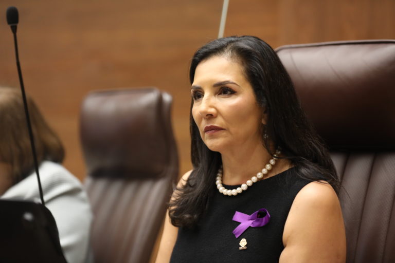 Diputados llevan lazo morado a discurso presidencial como protesta contra la violencia política hacia las mujeres