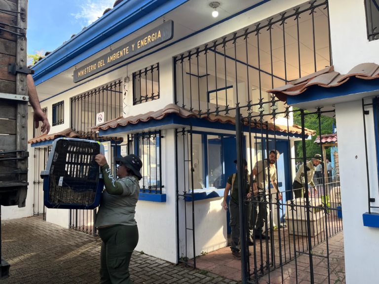 Minae reporta muerte de dos venados, un tepezcuintle y cuatro aves tras traslado desde el Zoológico Simón Bolívar