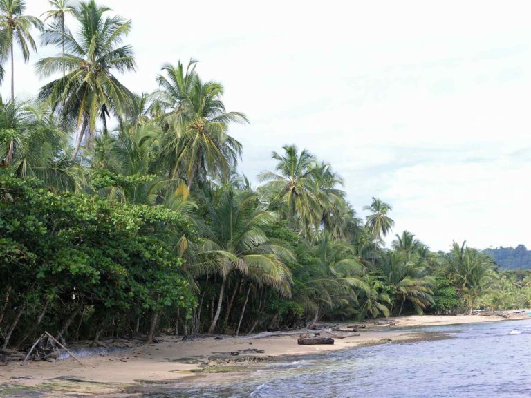 ¿Quiénes ganan y quienes pierden con lo que se está haciendo hoy en el Caribe Sur?
