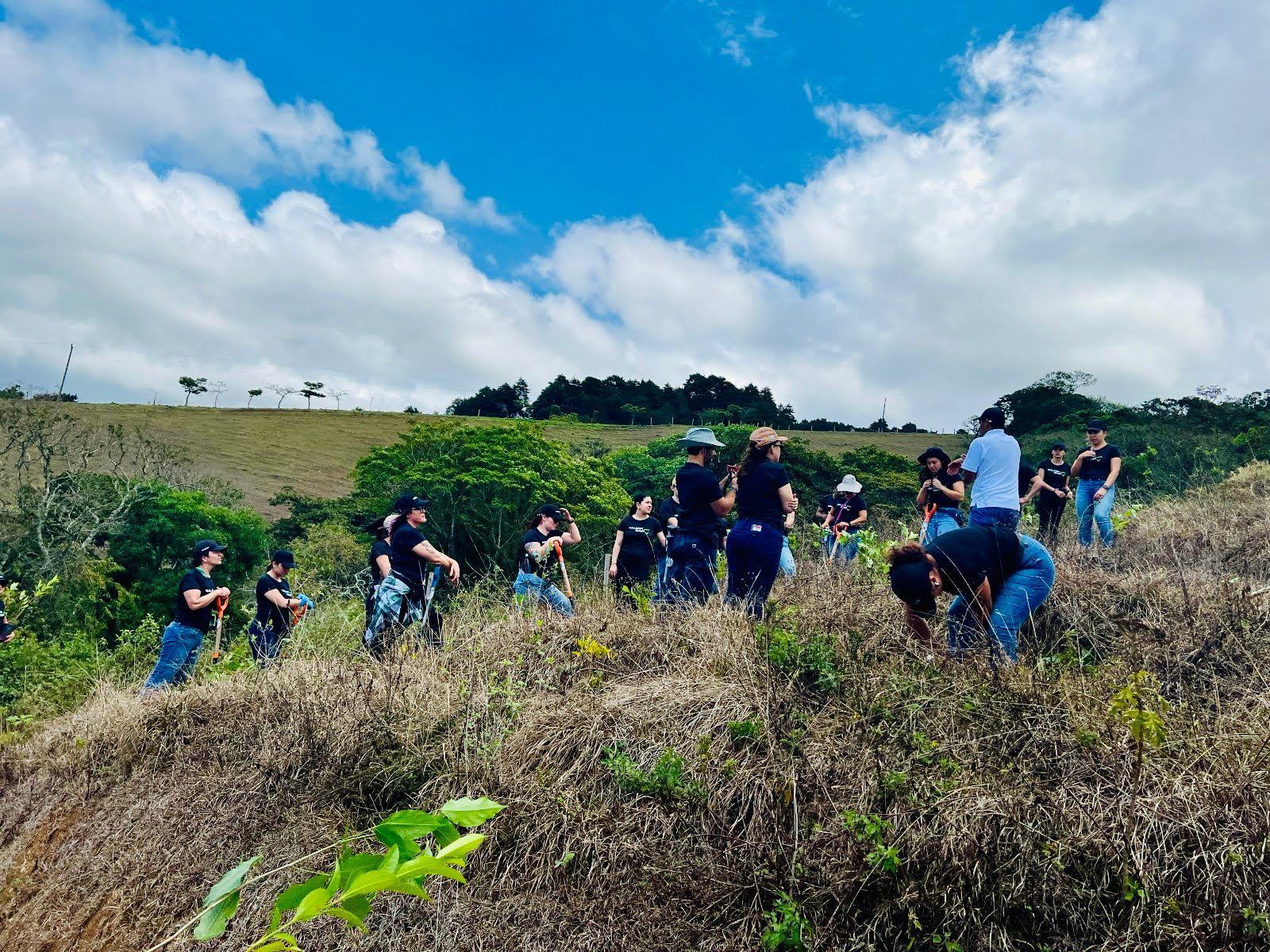 Imagen principal del artículo: 1000 árboles reforestarán La Angelina en Cartago gracias a Haleon