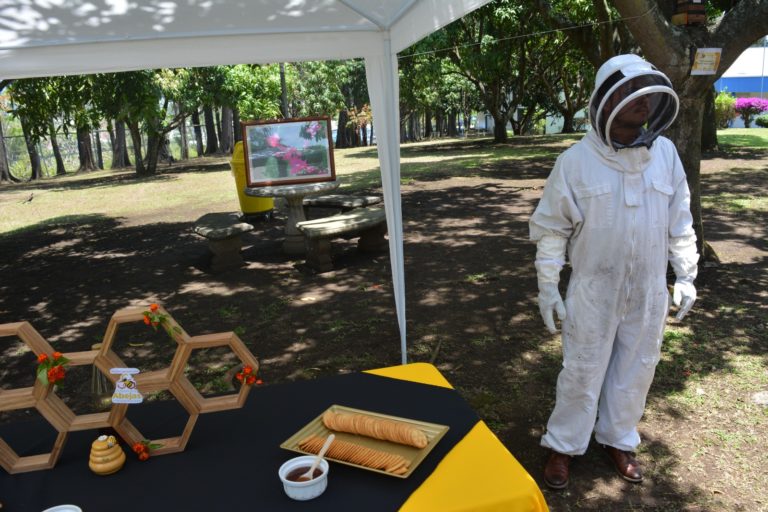 INA se declara Amigo de las Abejas e incorporará medidas para cuidar su hábitat