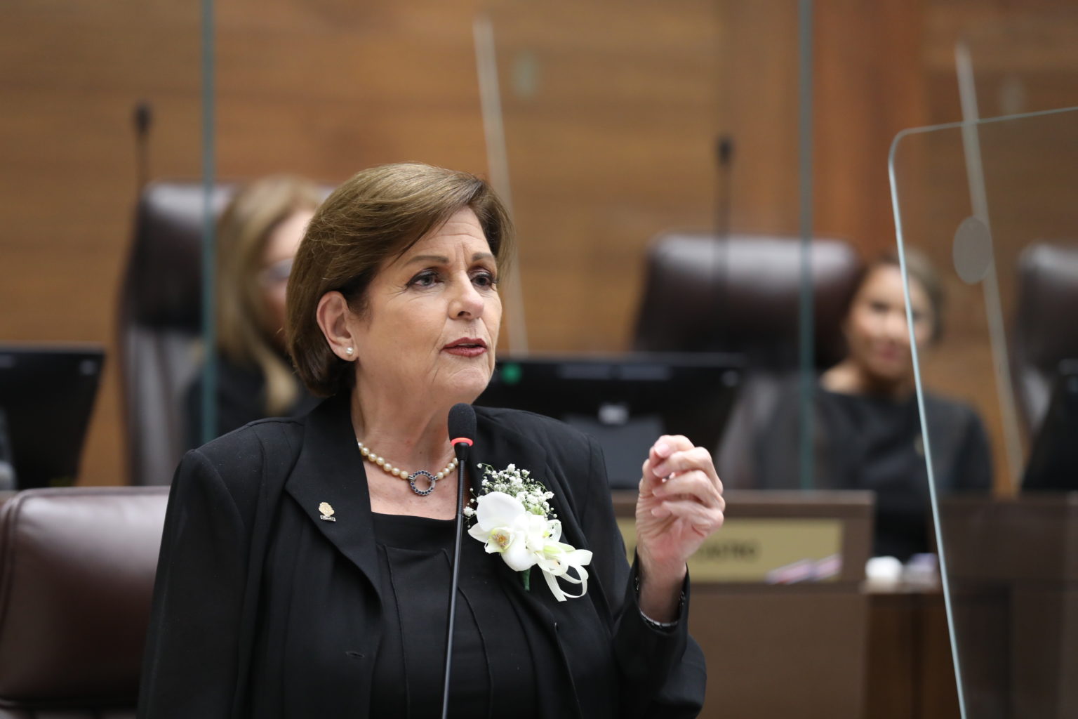 Imagen principal del artículo: ¿Pilar Cisneros es clasista? ¿los líderes “chavistas” son reflejo del pueblo?