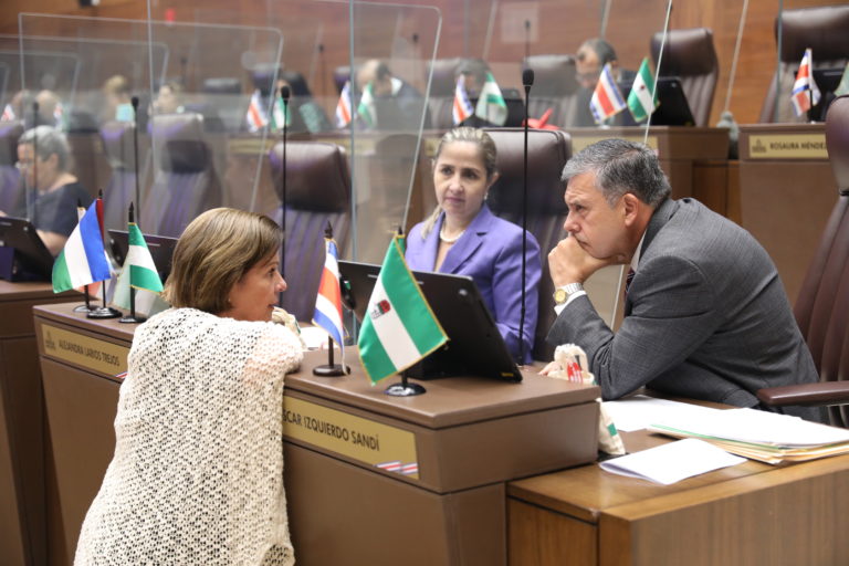 Pilar Cisneros propone mandar a consultar a la Sala IV la totalidad de la Ley Jaguar 2.0