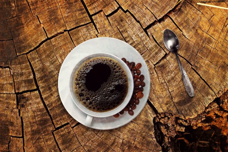 Inicia proceso para seleccionar el mejor café de Costa Rica de la cosecha 2023-2024