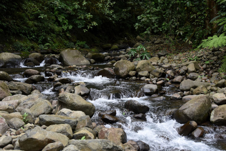 Mario Arias presenta libro sobre la cultura del agua y los Pueblos Originarios en Costa Rica