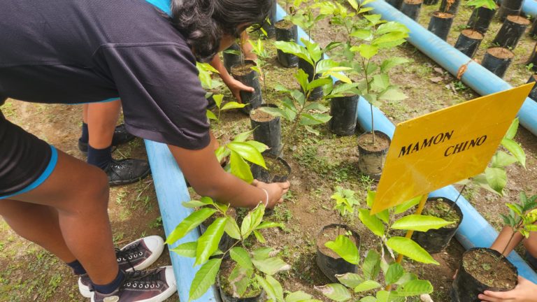Fresh Del Monte reproducirá especies nativas para donar árboles a comunidades e impulsar la reforestación