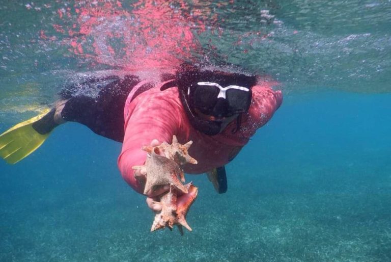 Protectoras del océano firman en Costa Rica un llamado a la acción para proteger al mar y a sus derechos