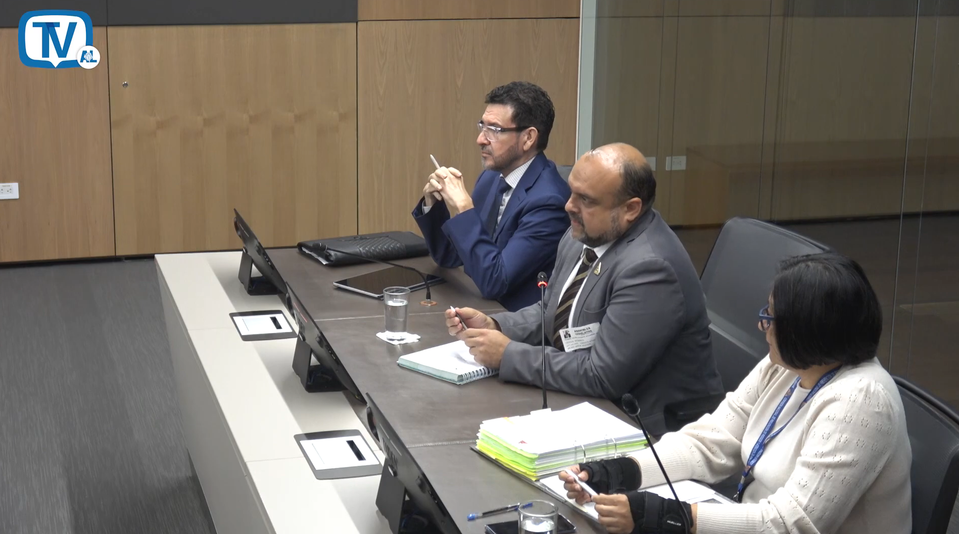 Imagen principal del artículo: CNE "confió" en criterio de Luis Amador y Fernando Naranjo para reparar pista del Daniel Oduber mediante procedimiento de emergencia