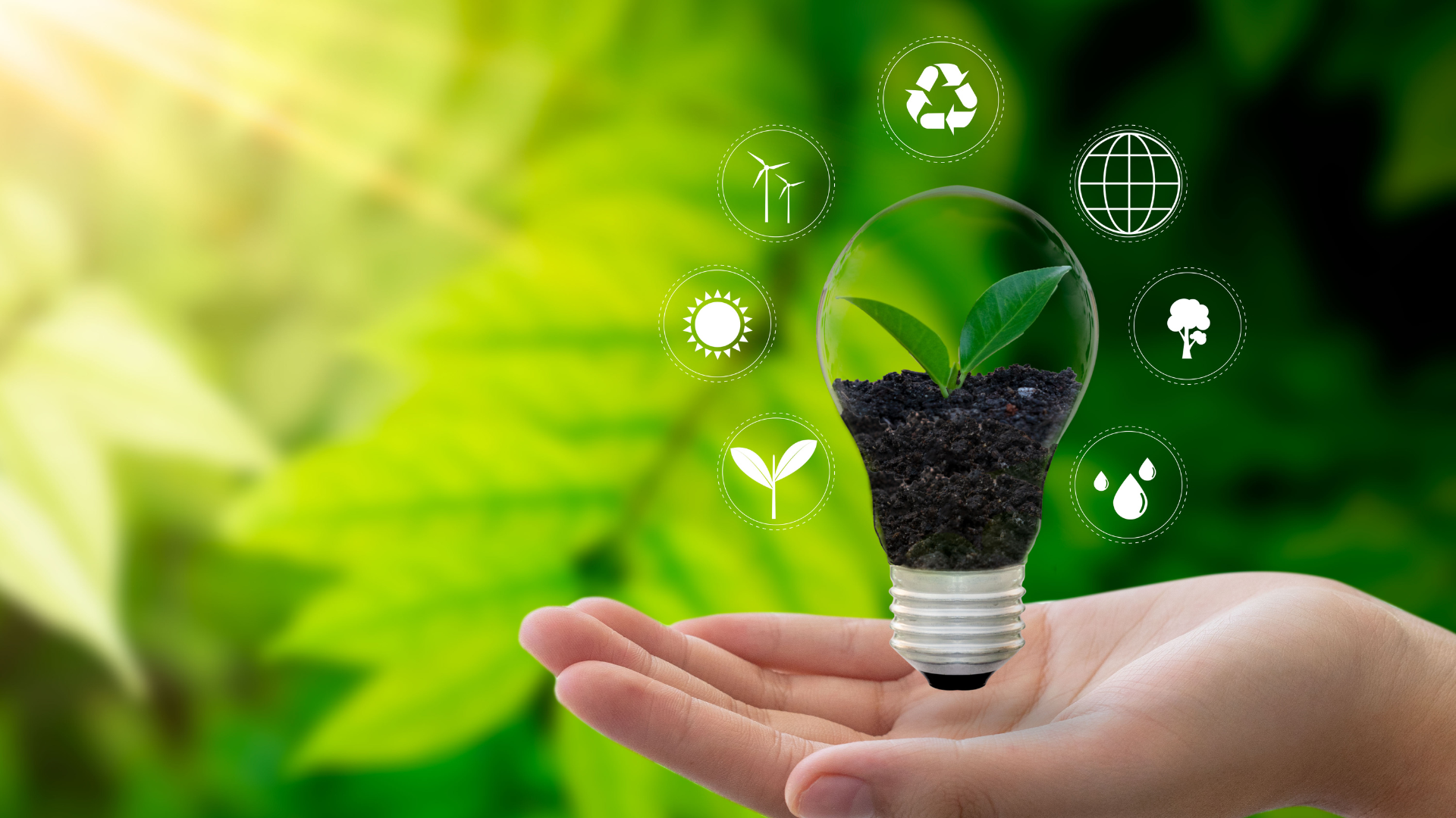 Imagen principal del artículo: Consciencia ambiental reta cada vez más a los consumidores y a las empresas