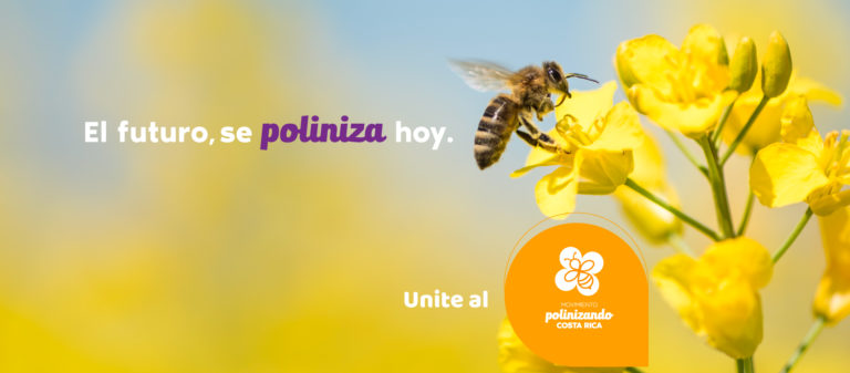 Primer encuentro apícola nacional se llevará a cabo el 22 de junio