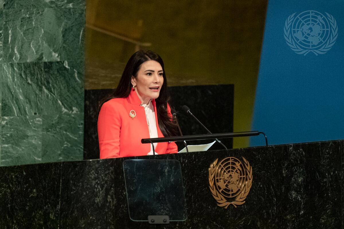 Imagen principal del artículo: Embajadora Maritza Chan presidirá Comisión de Desarme y Seguridad Internacionales de la ONU