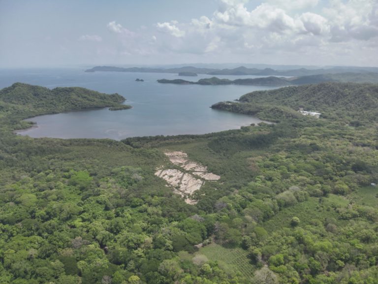 Un manglar resurge en Guanacaste como una "luz de esperanza" en medio de la crisis climática 
