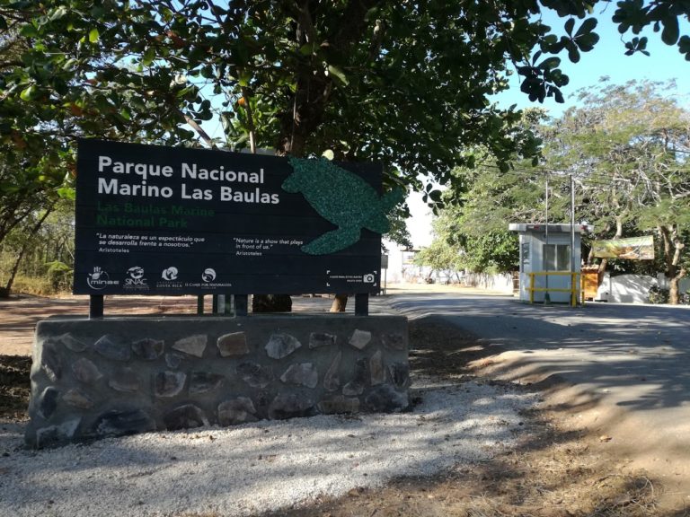 Parque Nacional Marino Las Baulas recibe donación de terreno de 7215 metros cuadrados 