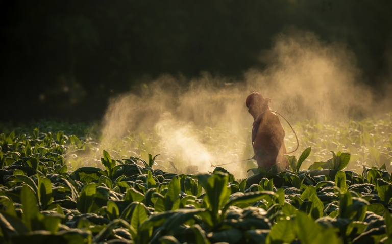 Sí existen bases científicas y técnicas para regular el uso de plaguicidas en Costa Rica
