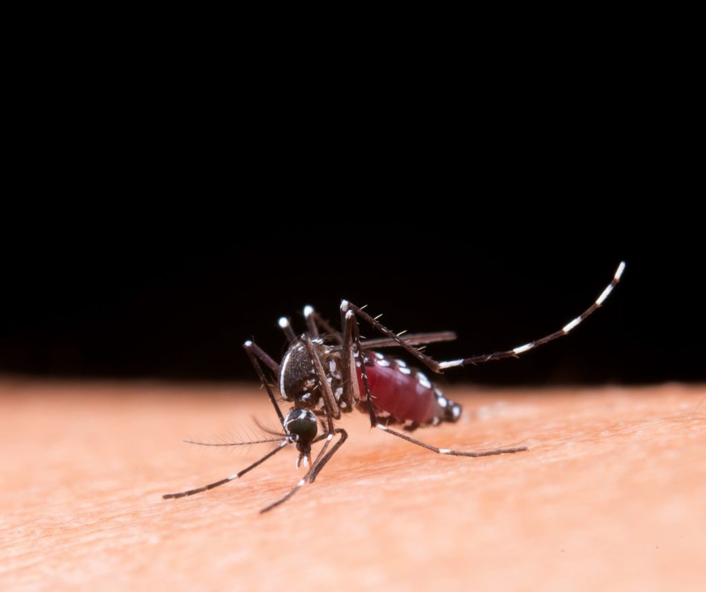 Costa Rica acumula 3437 casos de dengue en 2026; más de mil adicionales respecto al mismo periodo del año anterior