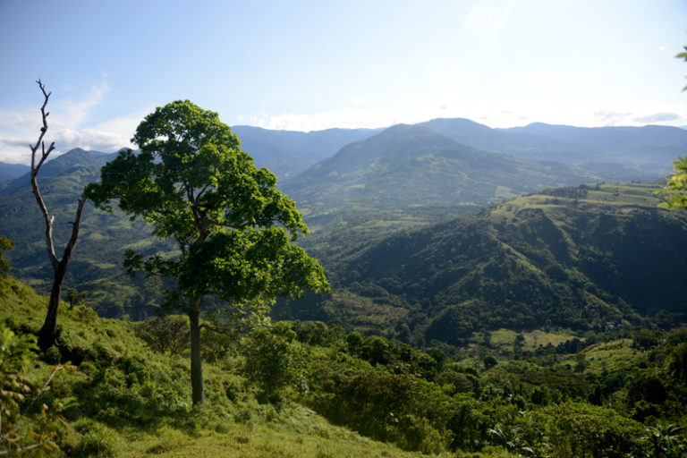 Territorio indígena Cabagra recibe 167 millones de colones por cuidado del bosque