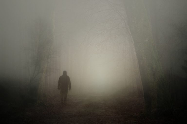 El asesino silencioso, ¿quién es el verdadero culpable?