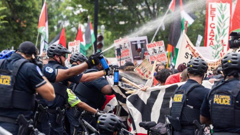 Miles de personas protestan en Washington contra Netanyahu y la guerra 