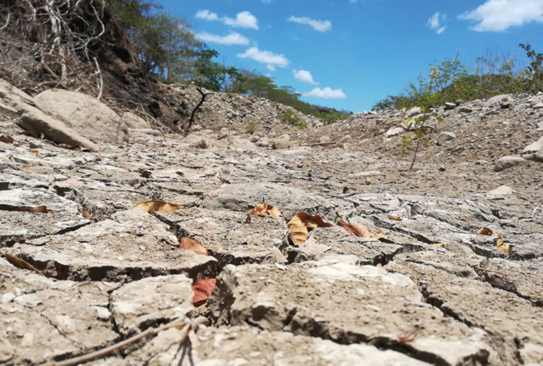 Costa Rica implementará programa regional para aumentar resiliencia en el corredor seco centroamericano