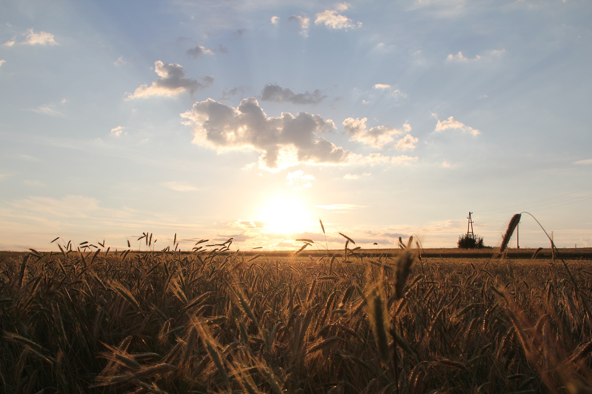 Imagen principal del artículo: Sobre la Enfermedad Renal Crónica como enfermedad laboral
