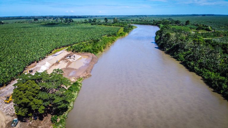 Estudio de 2023 encontró rastros de plaguicida clorotalonil en mujeres embarazadas de Matina