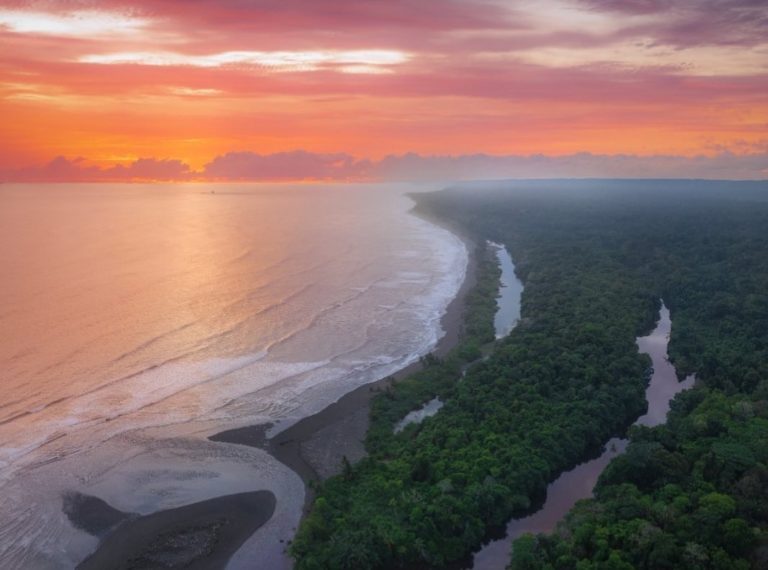 Corcovado: limpiar para cuidar