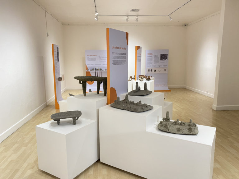 Museo Nacional invita a exposición “Mucho más que verde”
