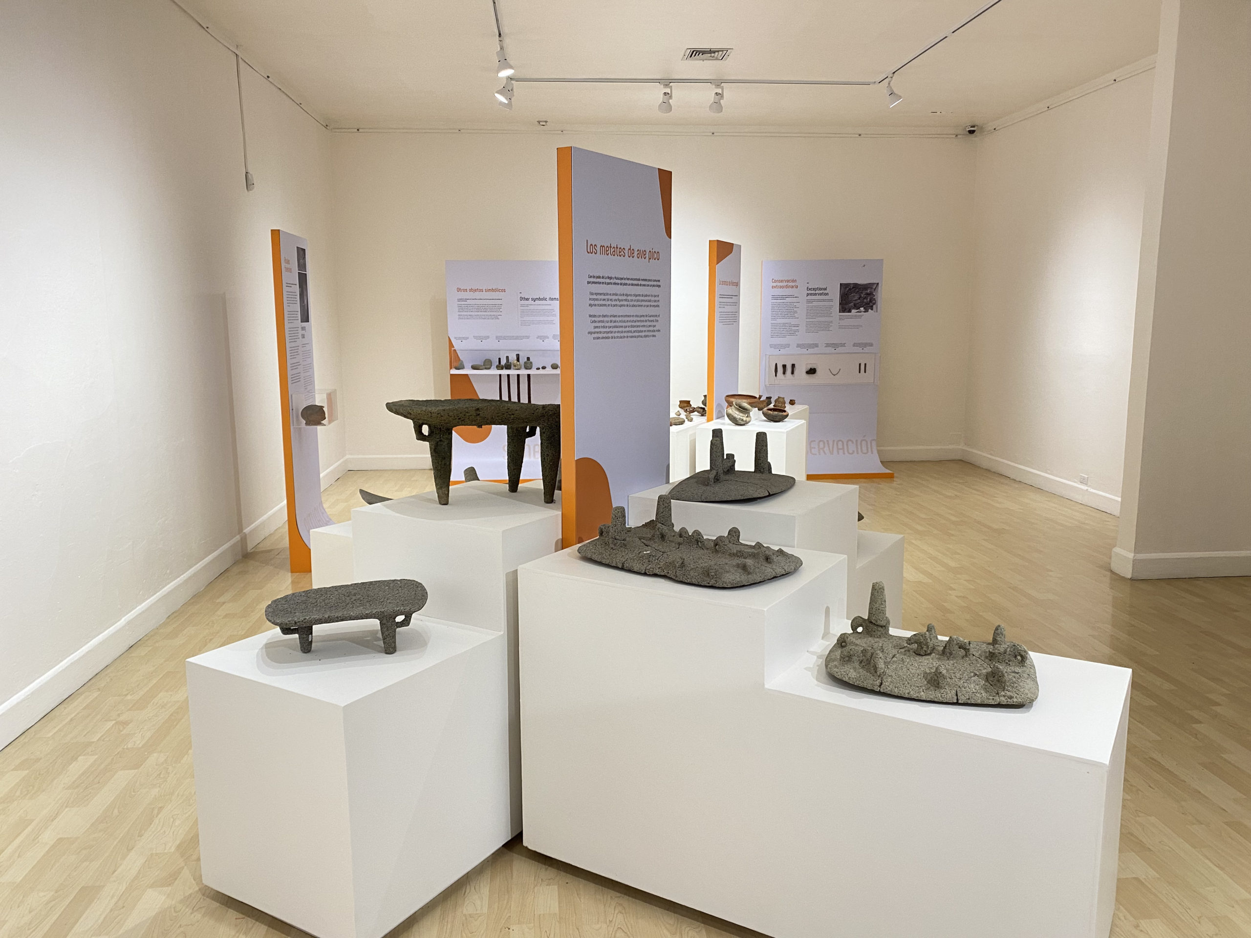 Imagen principal del artículo: Museo Nacional invita a exposición “Mucho más que verde”