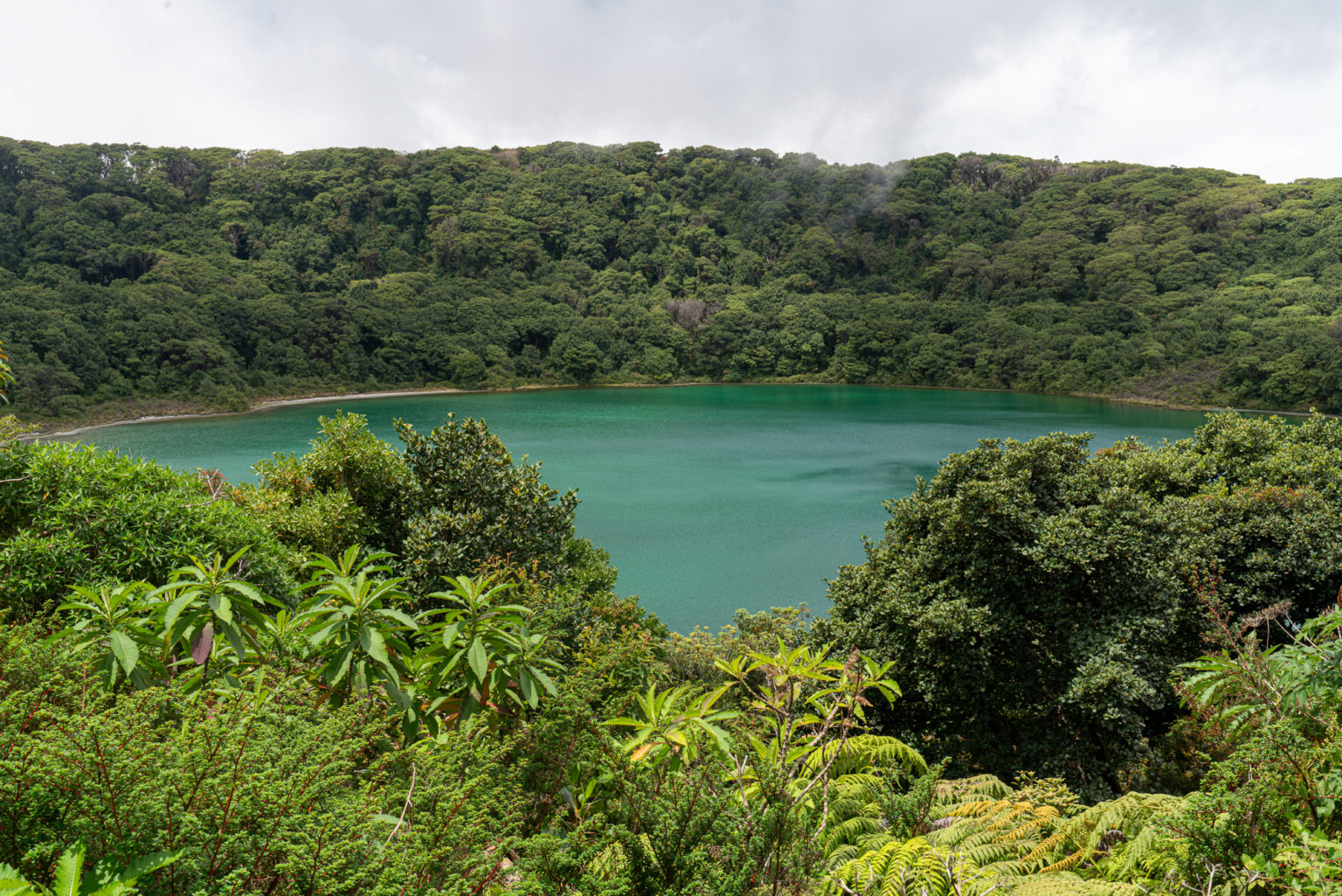 Imagen principal del artículo: Seis sorprendentes datos sobre los tesoros naturales de Costa Rica