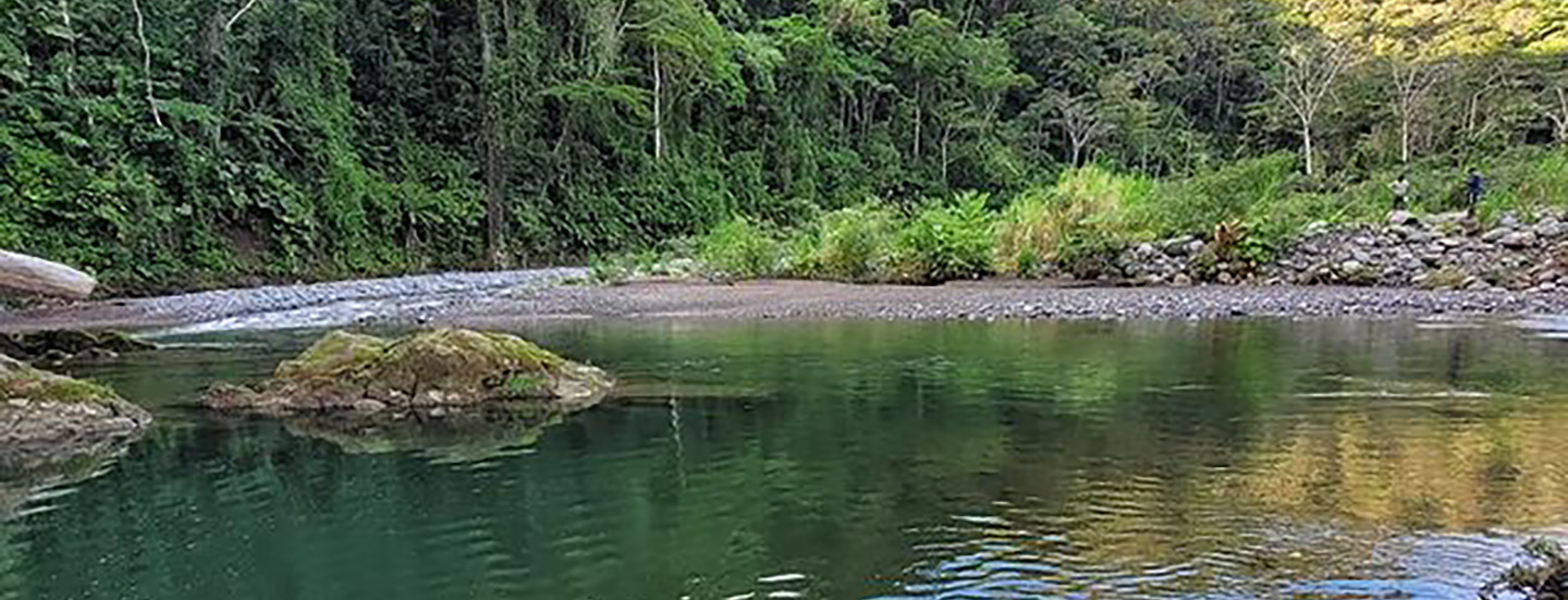 Imagen principal del artículo: Minae habilitó la Reserva Biológica Hitoy Cerere al turismo y a la investigación