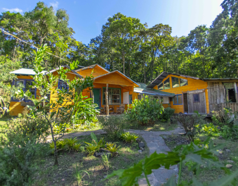 Monteverde lucha por preservar centro cultural Riochante en medio de subasta inminente