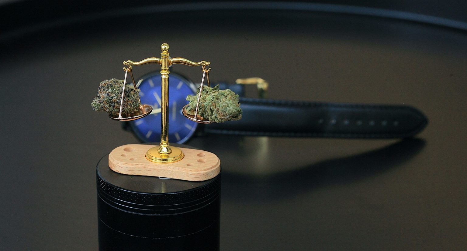 Imagen principal del artículo: La marihuana y sus enredos
