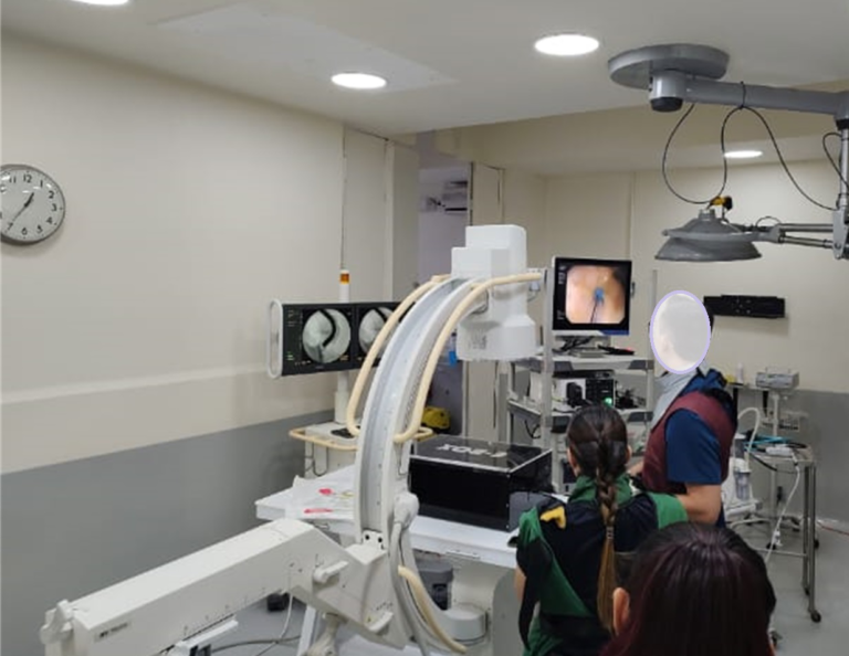 Hospital de Equinos de la UNA impulsa diseño de dispositivos médicos humanos