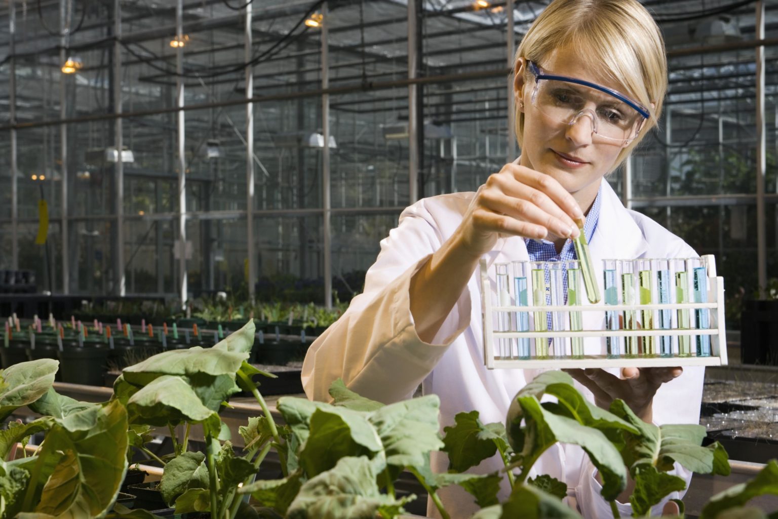 Imagen principal del artículo: Industria agroquímica ha reducido hasta en un 95% las dosis de los ingredientes activos aplicados a cultivos
