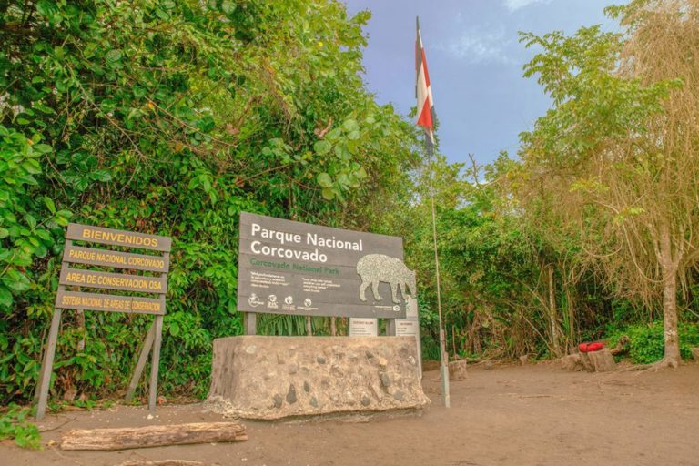 Sinac niega el acceso al Parque Nacional Corcovado a proyecto para investigar minería de oro