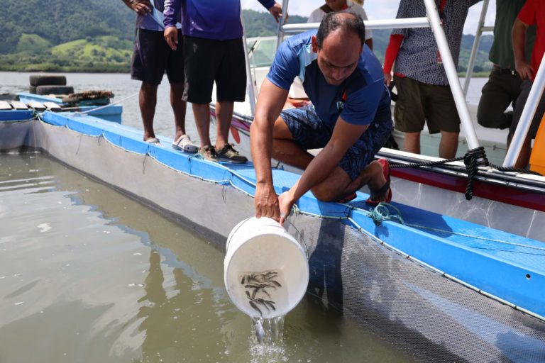 UNA potencia el cultivo en granjas marinas por medio de la entrega de corvina
