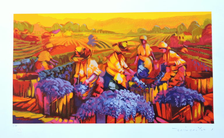 MAC y embajada de Brasil en Costa Rica presentan la exposición "Bravuras"