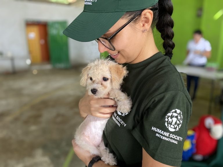 Decenas de perros y gatos recibieron atención veterinaria gratuita en Tortuguero