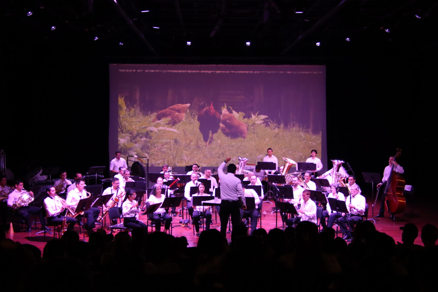 Imagen principal del artículo: Bandas de conciertos ofrecerán música infantil y de películas en el mes de la niñez