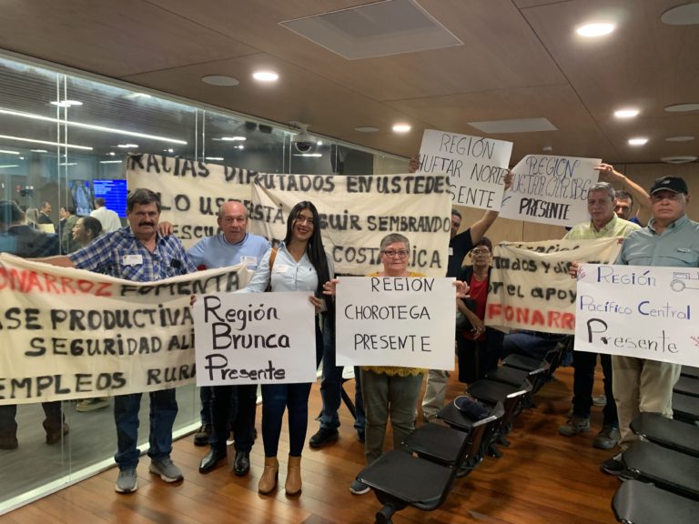 Conarroz pide aprobación de proyecto de ley para crear Fondo de Competitividad y Auxilio Arrocero