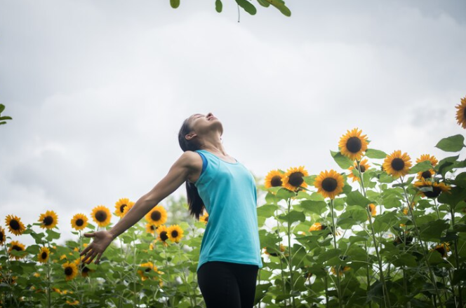 Imagen principal del artículo: Enfrente la vida con optimismo: descubra cómo la psicología aplicada puede ayudarle a reducir el estrés