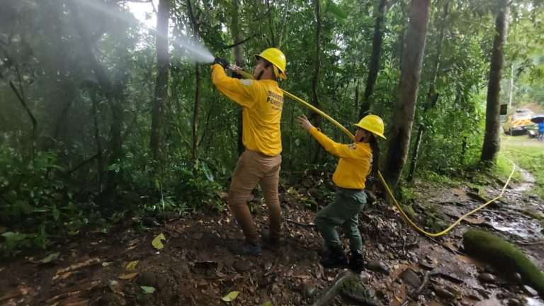Defender su territorio: Indígenas de Salitre se organizan voluntariamente para luchar contra los incendios forestales