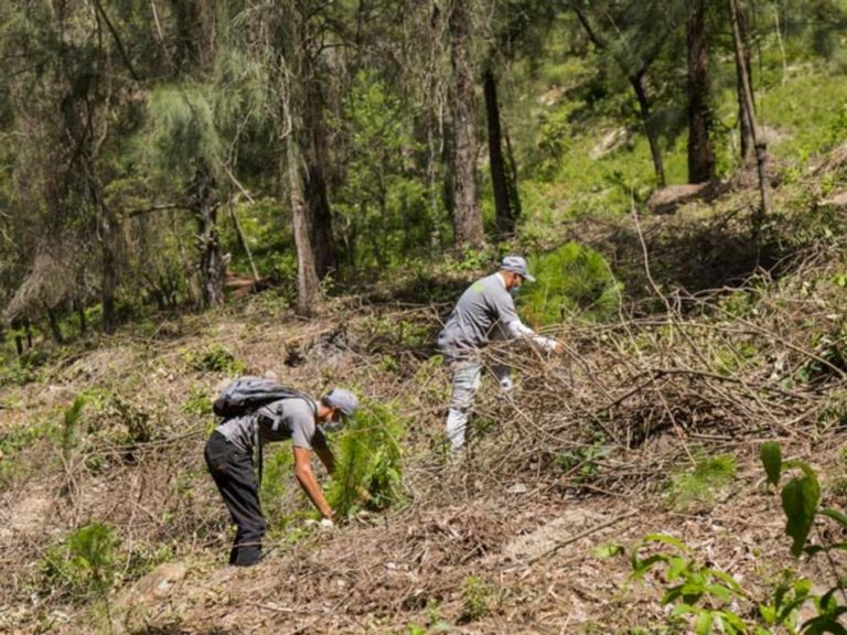 BCIE recibe primer desembolso del Fondo Verde del Clima para el Corredor Seco Centroamericano y República Dominicana
