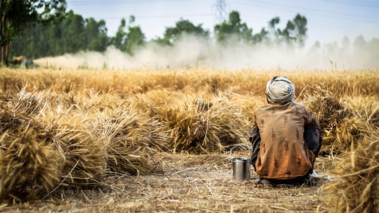La crisis del sector agro en Costa Rica
