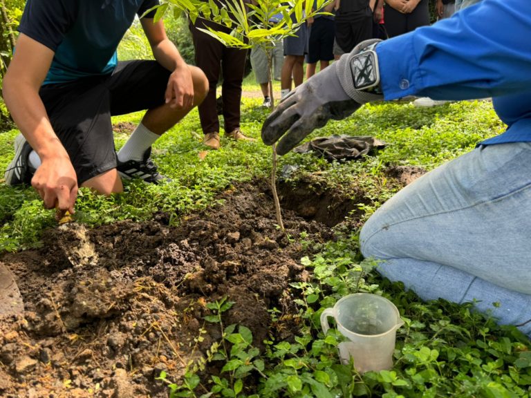 AyA planta 200 árboles al margen del río Torres