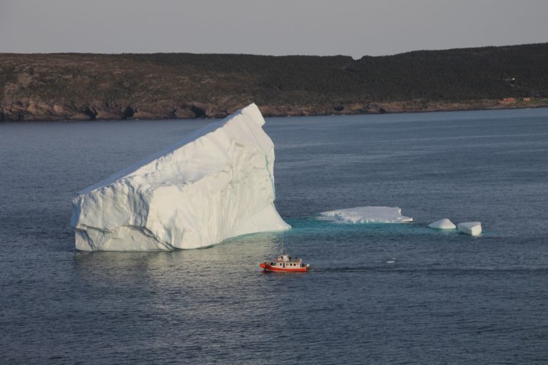 ¡Iceberg a la vista! En conmemoración del Día Mundial del Alzheimer