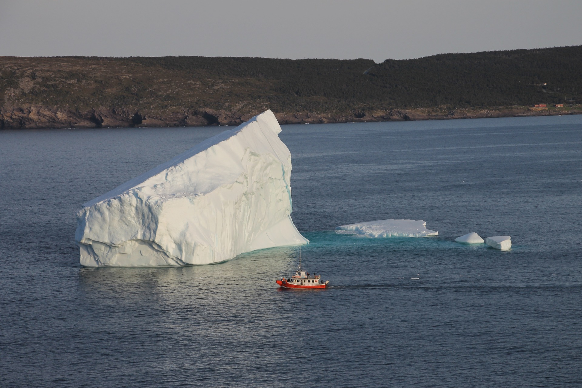 Imagen principal del artículo: ¡Iceberg a la vista! En conmemoración del Día Mundial del Alzheimer