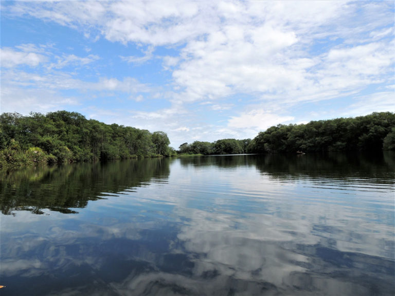 ¿Qué es la Convención de Ramsar sobre humedales y por qué es importante?