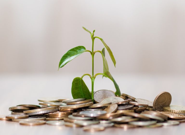 Asociaciones de Desarrollo pueden aplicar a recursos semilla para proyectos productivos