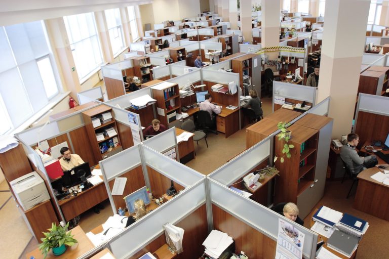 Población con empleo se recupera y alcanza su valor más alto desde octubre de 2022